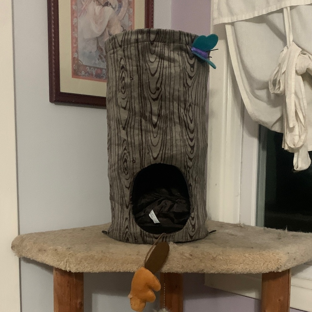 Kong Gray and Brown Cat Tunnel